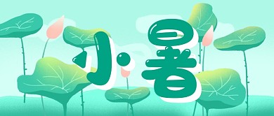 小暑节气荷花公众号首图