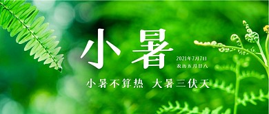 小暑节气绿色植物公众号首图