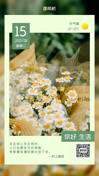 日签文艺风小雏菊手机海报