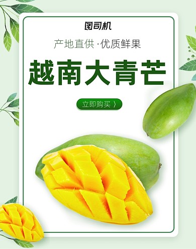 夏季水果青芒清新电商竖版海报