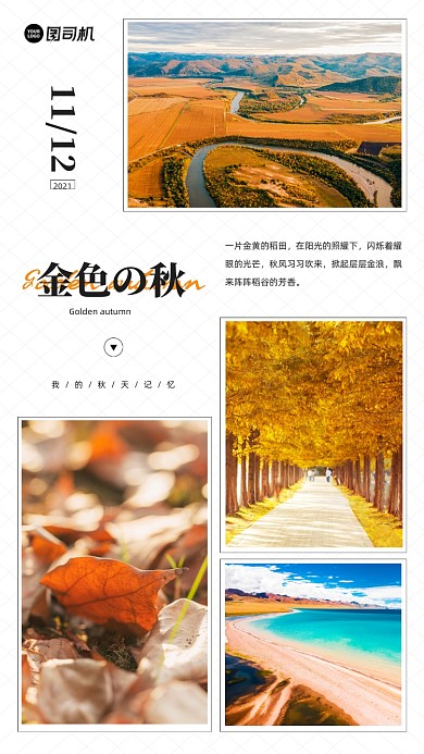 金色的秋金黄秋季照片相册手机海报