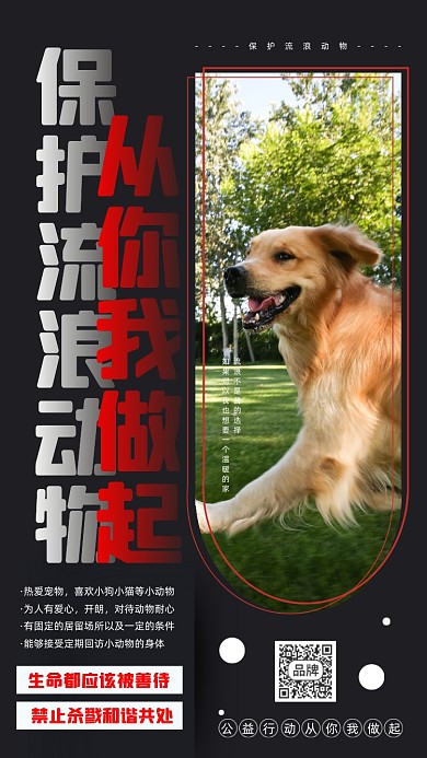 保护流浪动物公益宣传摄影图海报