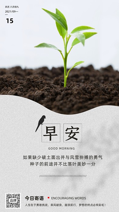 早安日签简约小树苗摄影图海报