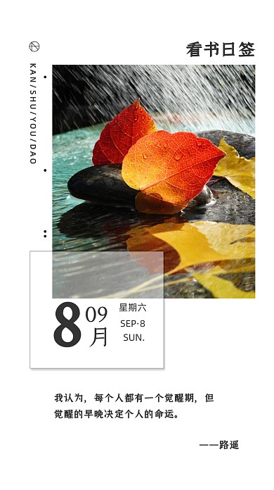 看书日签落叶清新摄影图海报