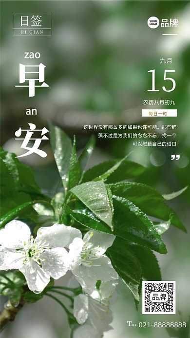 早安日签鲜花植物摄影图海报