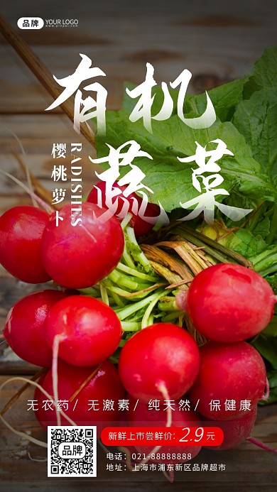 有机蔬菜樱桃萝卜摄影图海报