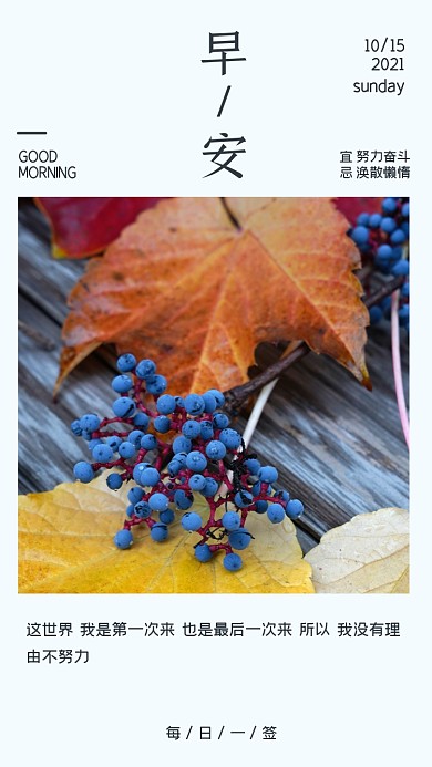 早安世界日签清新落叶摄影图海报