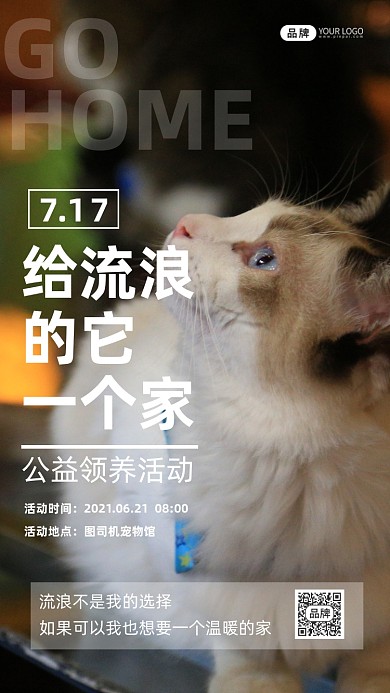 公益领养活动宣传摄影图海报