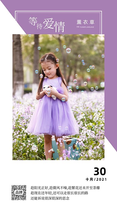 薰衣草等待爱情清新摄影图海报