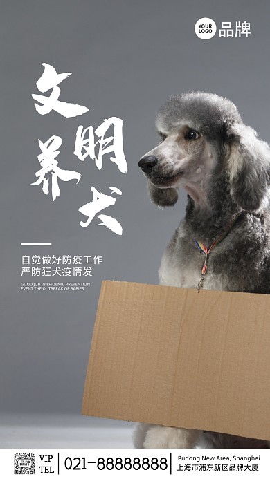 文明养犬公益简约摄影图海报