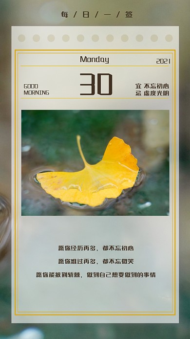 秋天清新落叶日签户外摄影图海报