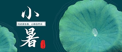 小暑节气荷叶绿色公众号首图