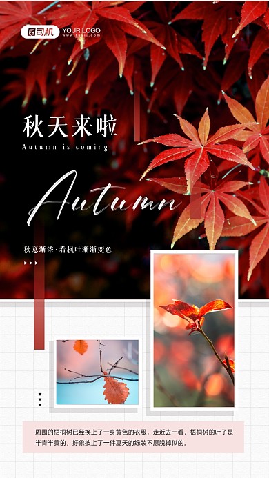 秋天来啦秋意渐浓照片相册手机海报