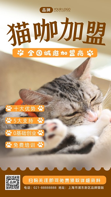 猫咖加盟可爱猫咪摄影图海报