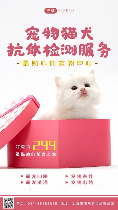 宠物服务可爱萌宠摄影图海报
