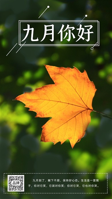 九月你好枫叶摄影图海报