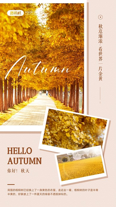 你好秋天秋意金黄摄影图手机海报