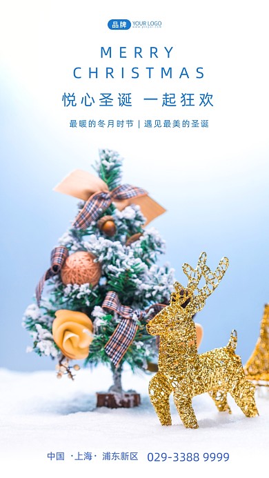 圣诞节狂欢摄影图海报