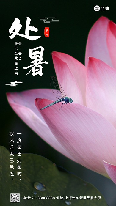 夏天二十四节气处暑摄影图海报