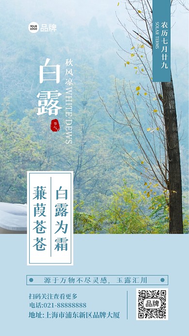 白露节气摄影图海报