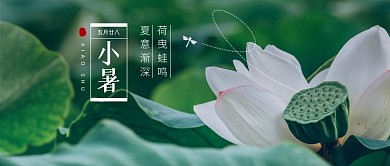 小暑传统节日夏日文艺小清新公众号首图