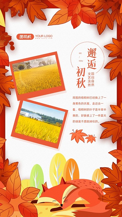邂逅初秋金黄秋天相册手机海报