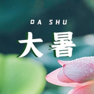 大暑节日夏日小清新绿色公众号次图