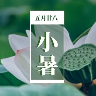 小暑节日夏日小清新绿色公众号次图