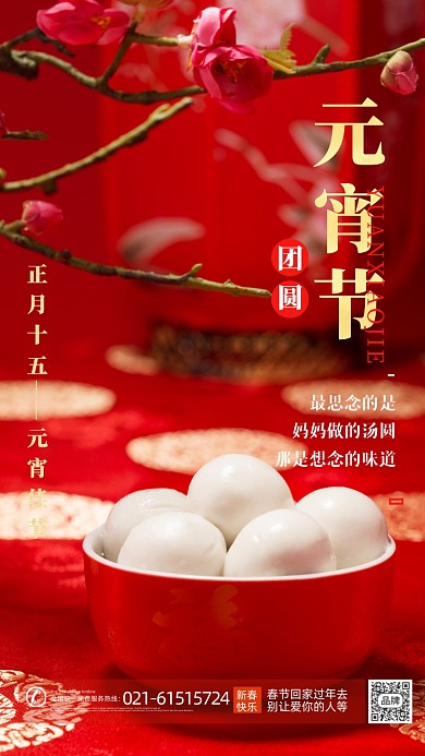 元宵佳节汤圆摄影图海报