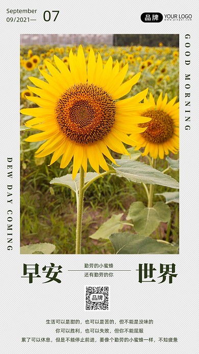 早安世界日签清新向日葵摄影图海报
