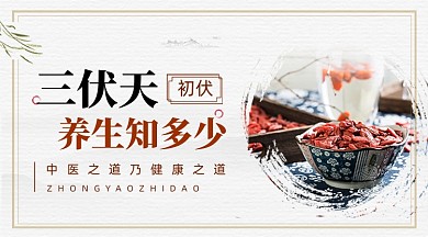 三伏天养生枸杞广告banner