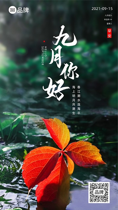 九月你好树叶摄影图海报