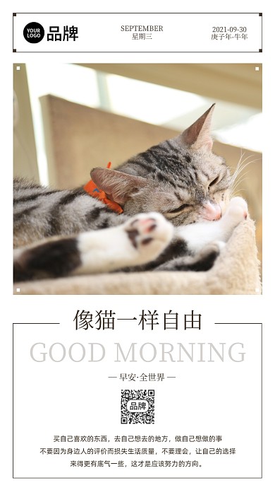 早安日签可爱猫咪摄影图海报