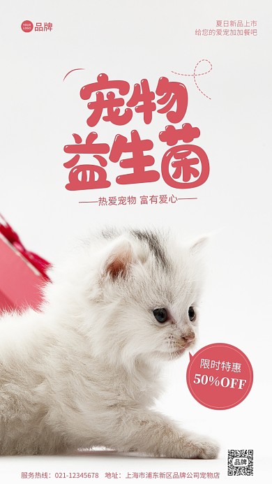 宠物益生菌白色猫咪背景摄影图海报