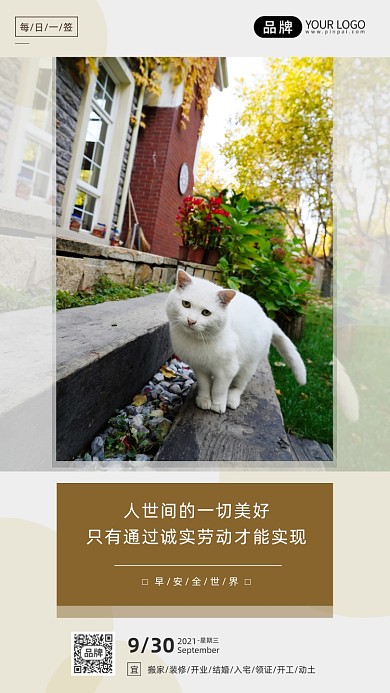 早安世界日签可爱猫咪户外摄影图海报