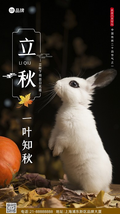 二十四节气立秋秋天摄影图海报