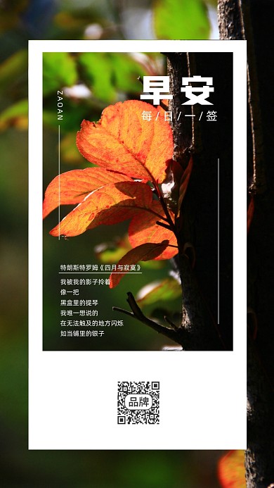 秋天枯叶日签清新摄影图海报