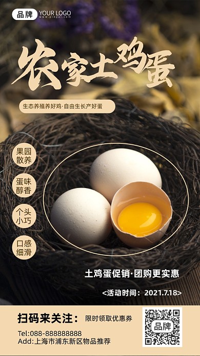 摄影风格农家土鸡蛋促销宣传摄影图海报