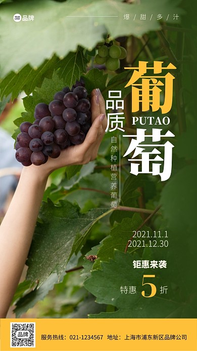 葡萄自然种植摄影图海报