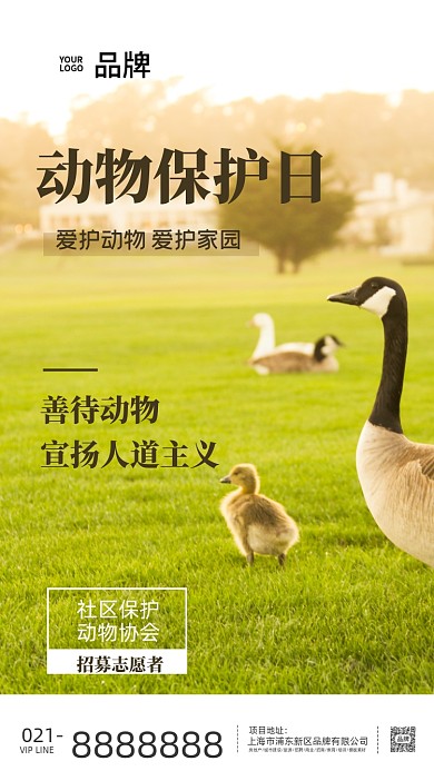 保护动物草坪于鸭子海报