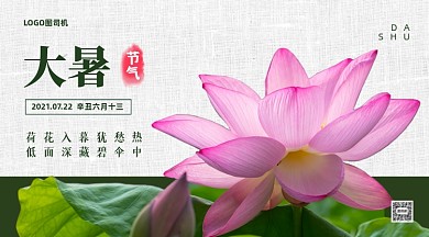 大暑节气荷花祝福手机横图