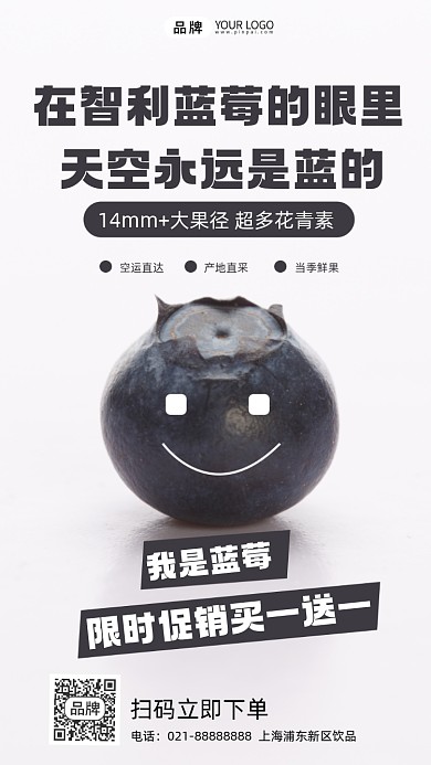 摄影风格智利蓝莓促销摄影图海报