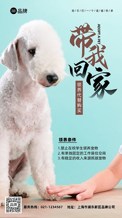 宠物店领养摄影图海报