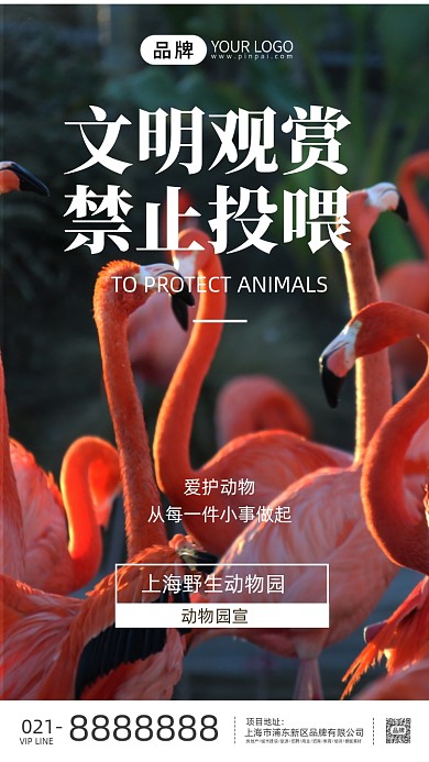 保护动物禁止投喂公益活动海报