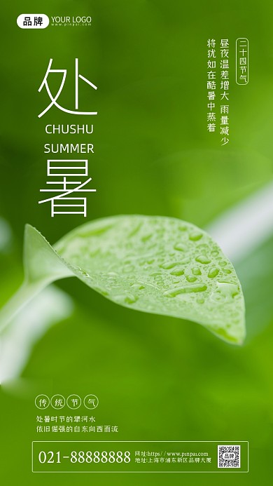 二十四节气处暑绿色叶子摄影图海报