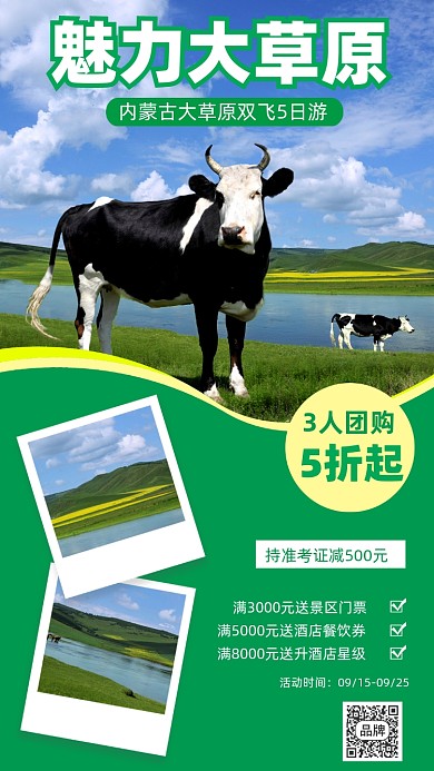 魅力大草原奶牛摄影图海报