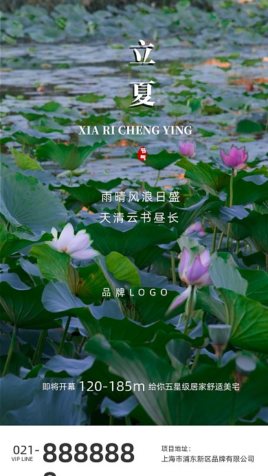 荷花池塘夏季立夏节气海报