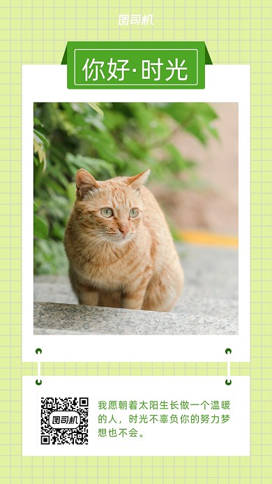 日签心灵鸡汤小清新手机海报