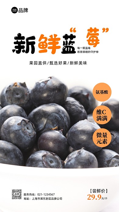新鲜蓝莓水果摄影图海报