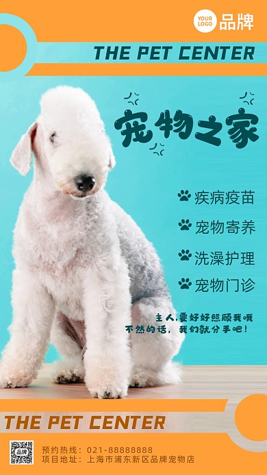 宠物之家可爱狗狗摄影图海报